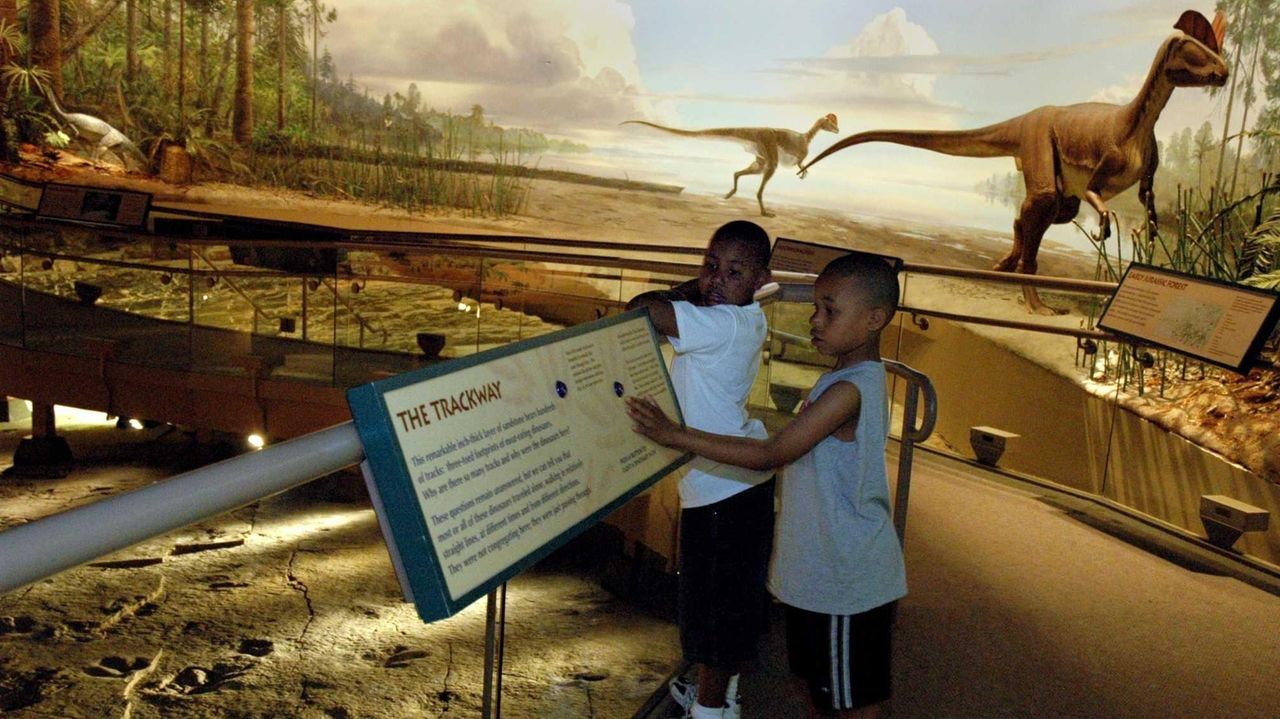 Dinosaur State Park in Connecticut A trove of tracks and more Newsday