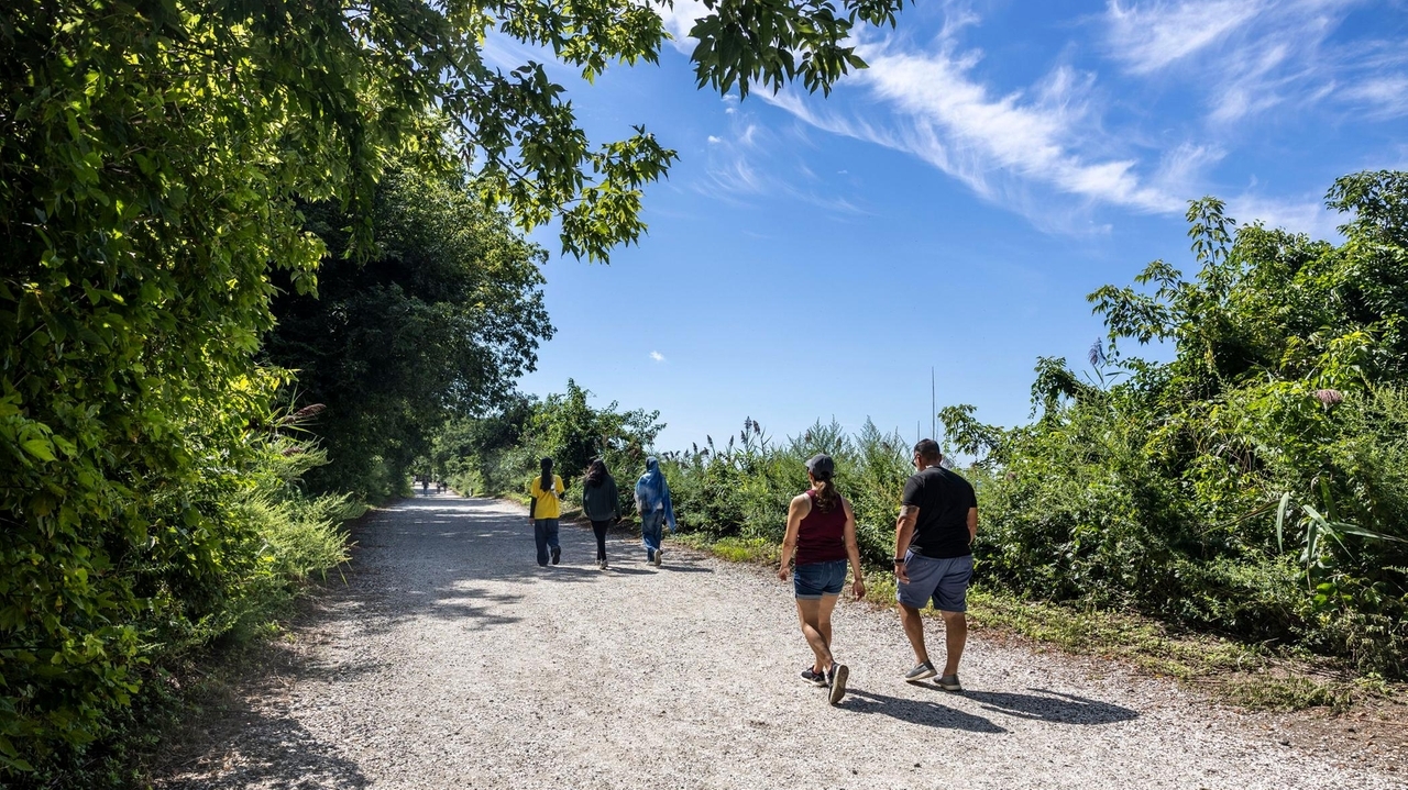 Explore Long Island's best nature trails this fall