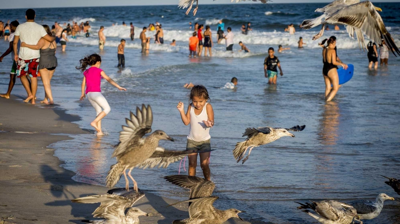 Visitation rises this summer at Long Island state parks - Newsday