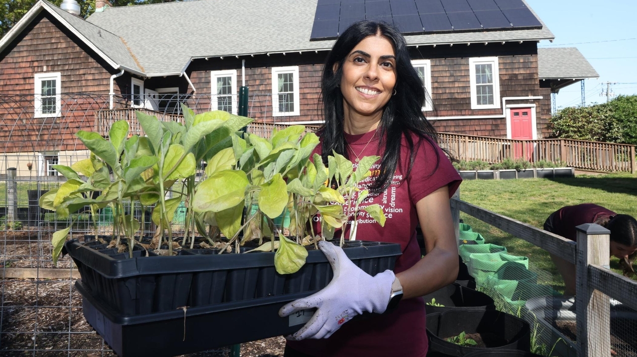 Mepham teacher's projects involve plants, paint and public service
