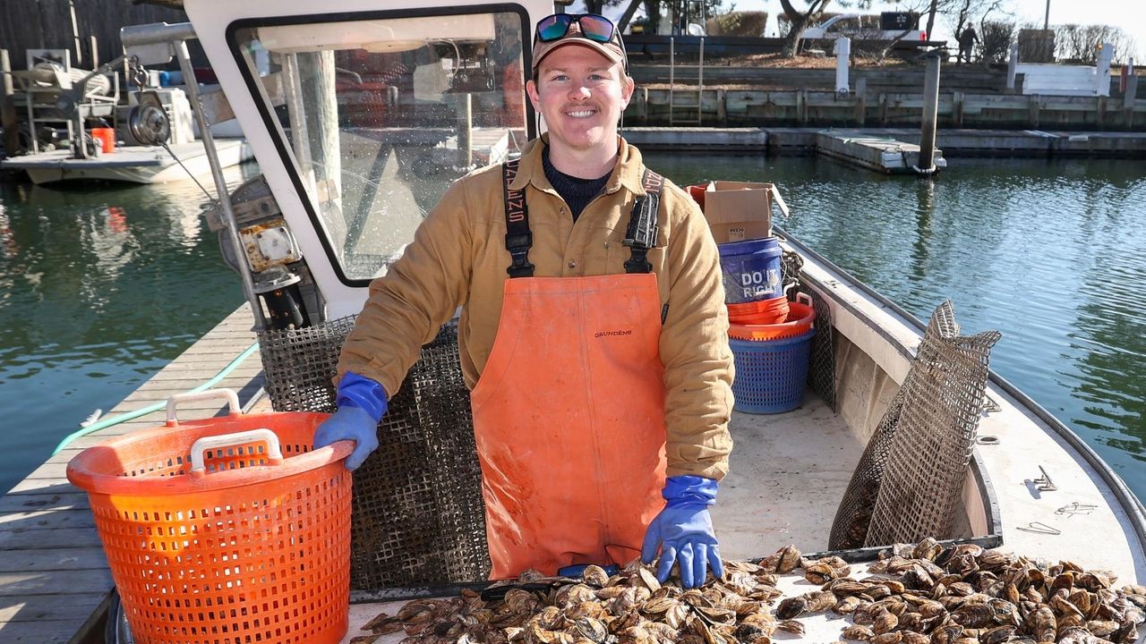 Long Island oyster farms look for nextlevel growth, aim to protect the Blue Point name Newsday