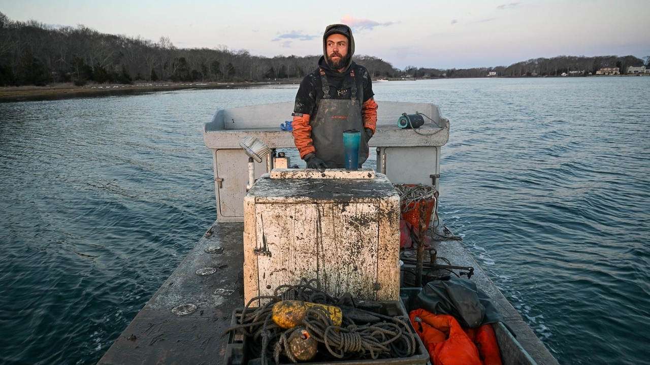 NYS awards $3M to oyster farmers amid winter damage to crop, gear