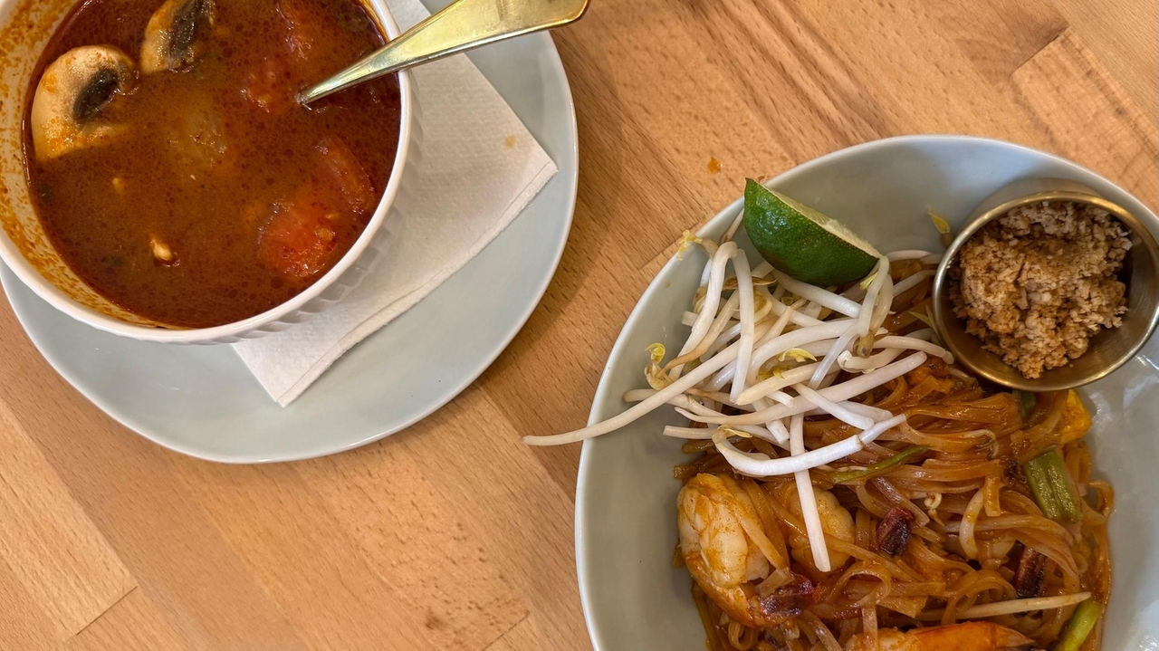 UDee Thai Bistro opens in Plainview
