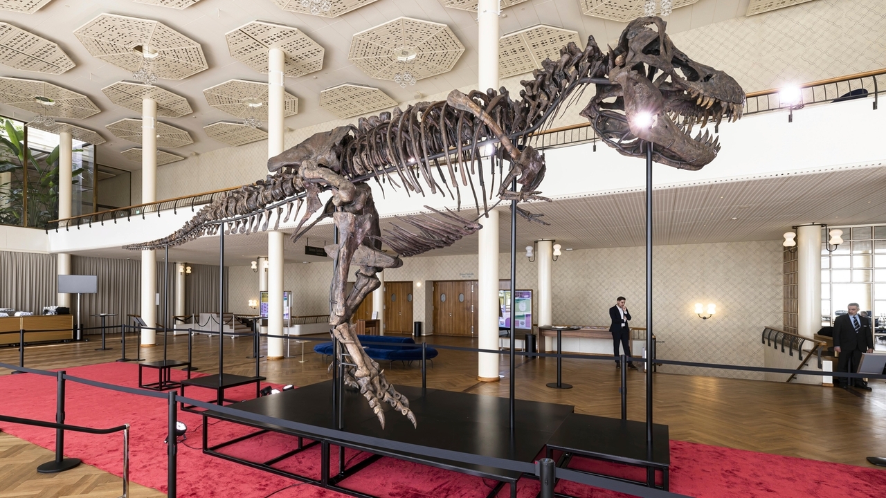 Has Tyrannosaurus rex lost its bite? Menacing snarl may be wrong - Vimarsana News