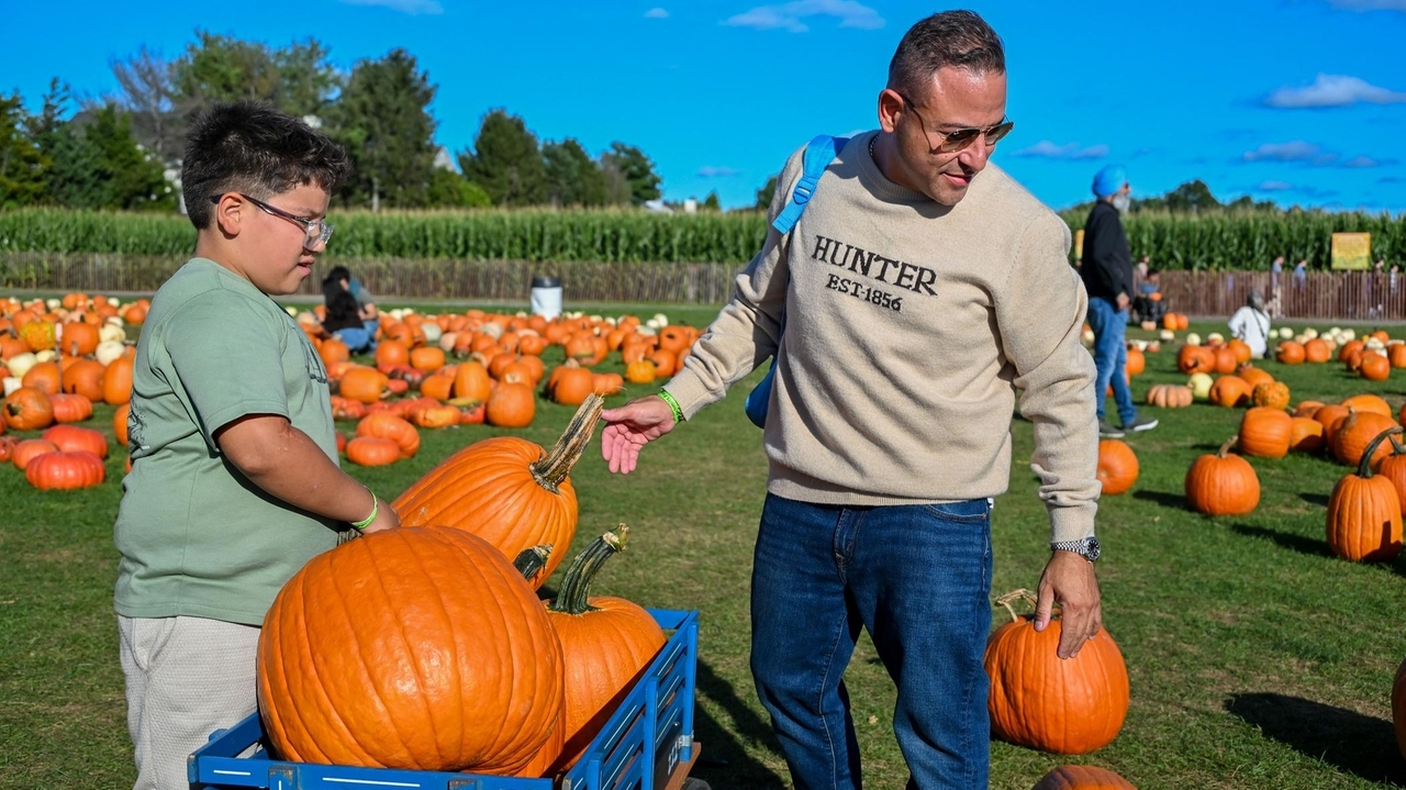 Long Island pumpkin farmers add attractions as sales fall, costs rise