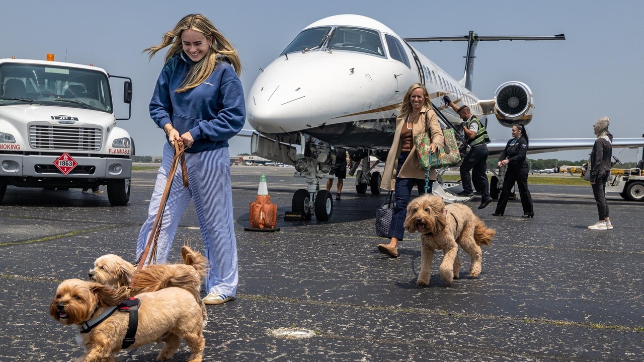 RetrievAir moves pet airline service to MacArthur Airport