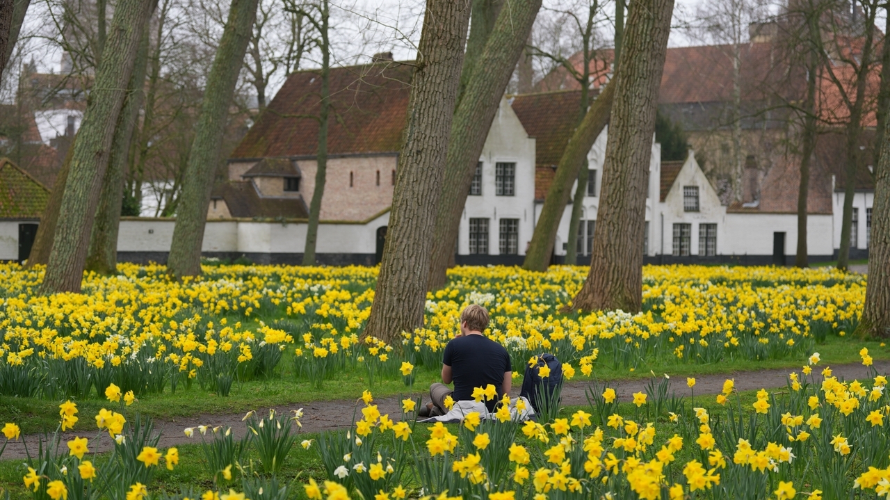 Belgium's Beguinages: Tranquil oases in a world of noise and distraction