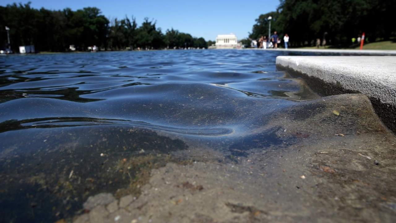 Don't blame algae for the Reflecting Pool mess