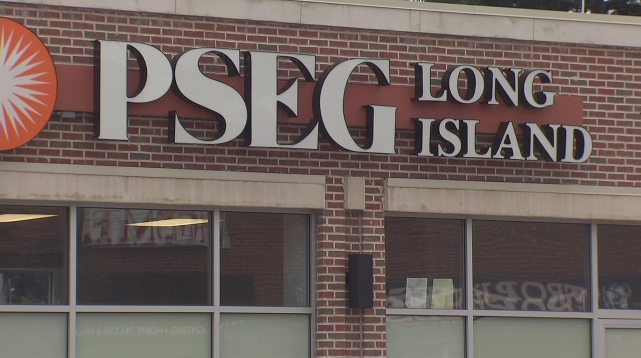 LI Officials Seek To Halt PSEG LIPA Rate increase Proceedings Newsday