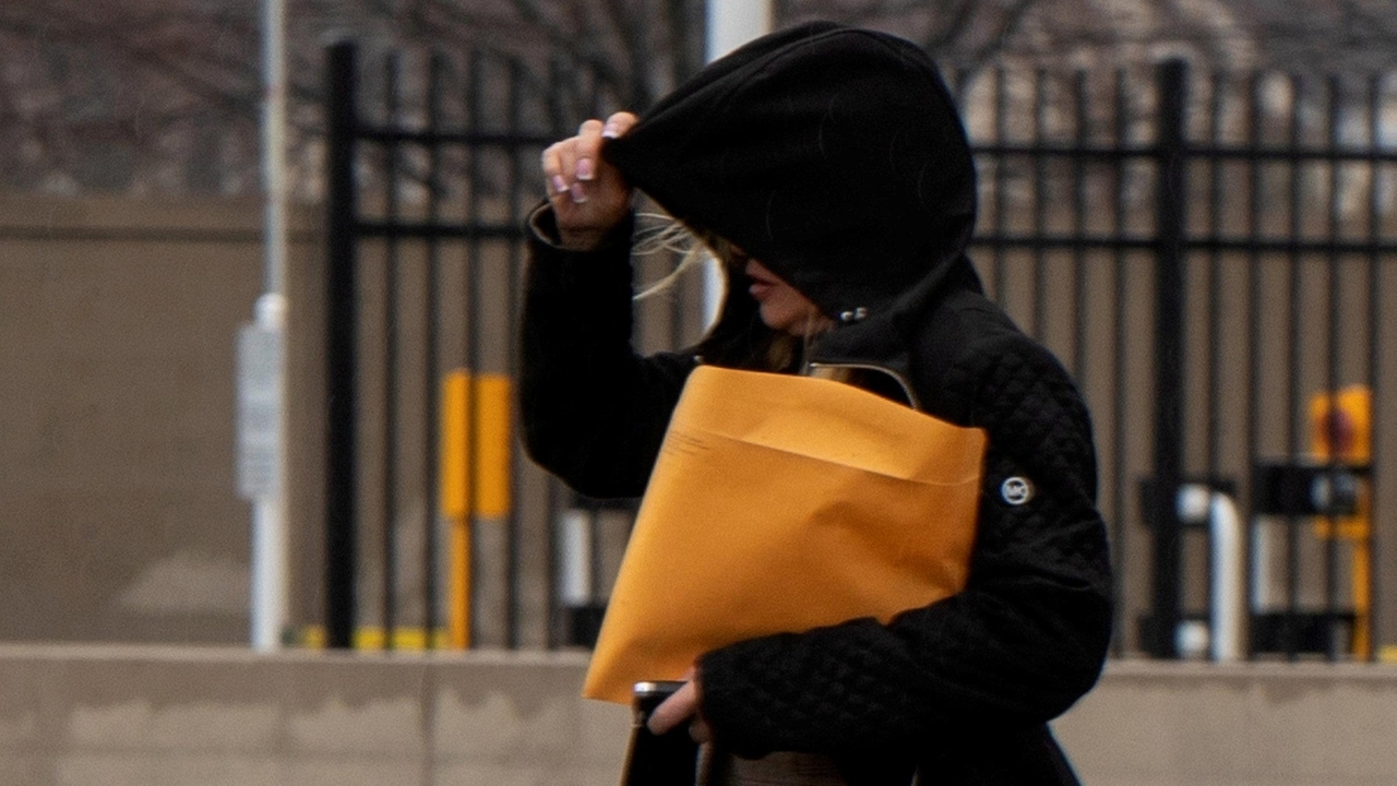 Lorraine Pilitz of Merrick tried to 'annoy or alarm' witness who testified against her, prosecutors say - Vimarsana News