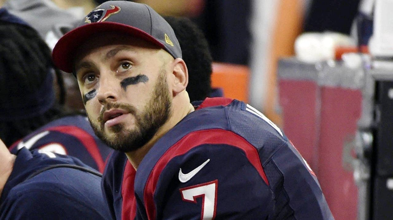 Bears To Sign Brian Hoyer