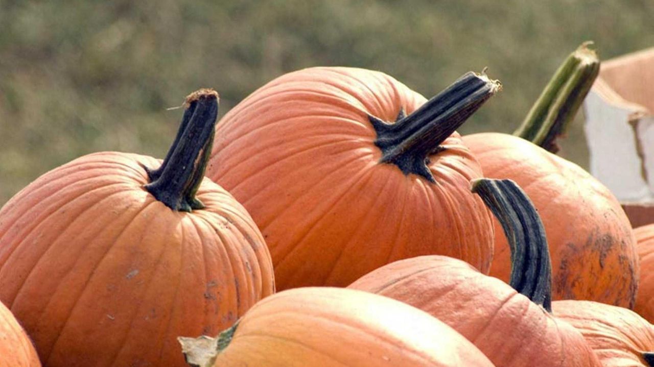 Weekend family fun on Long Island 'Halloween Spooktacular,' trains and