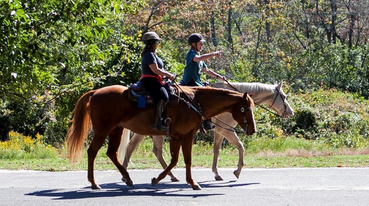 Long Island’s equestrian centers, riding schools and stables Newsday
