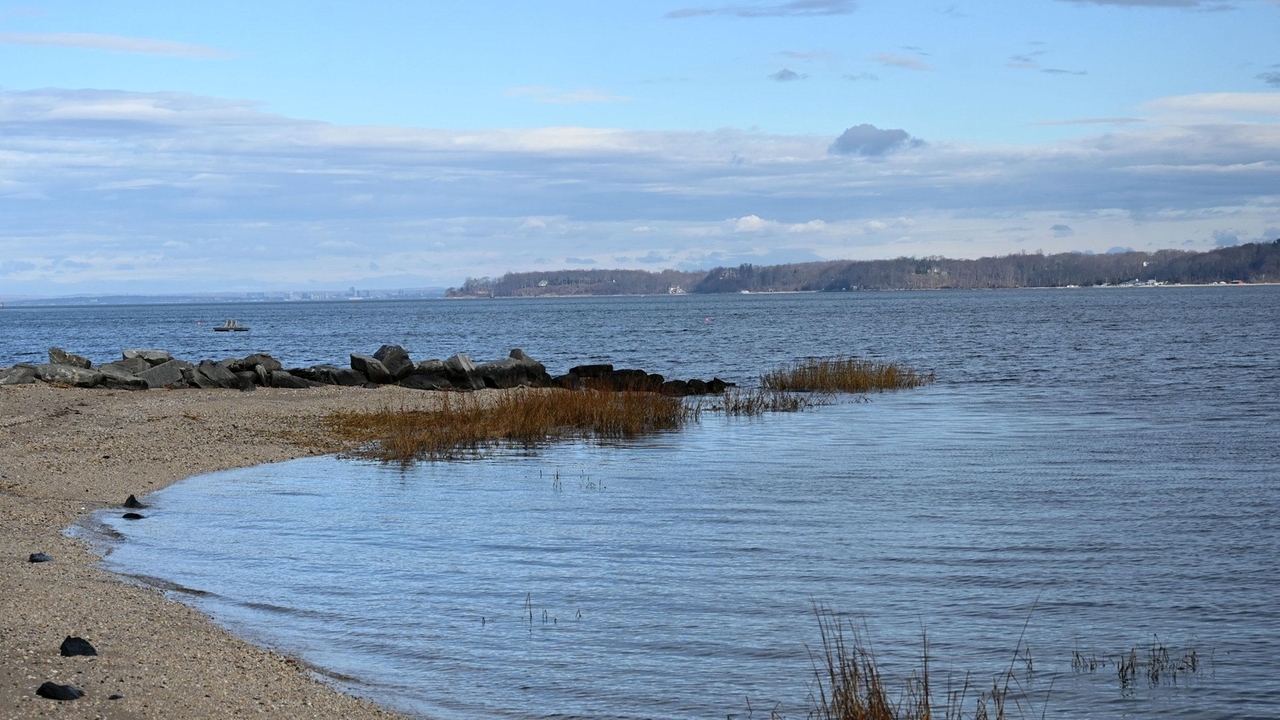 Long Island beach closures: Officials warn against swimming at 81 locations after heavy rainfall - Vimarsana News