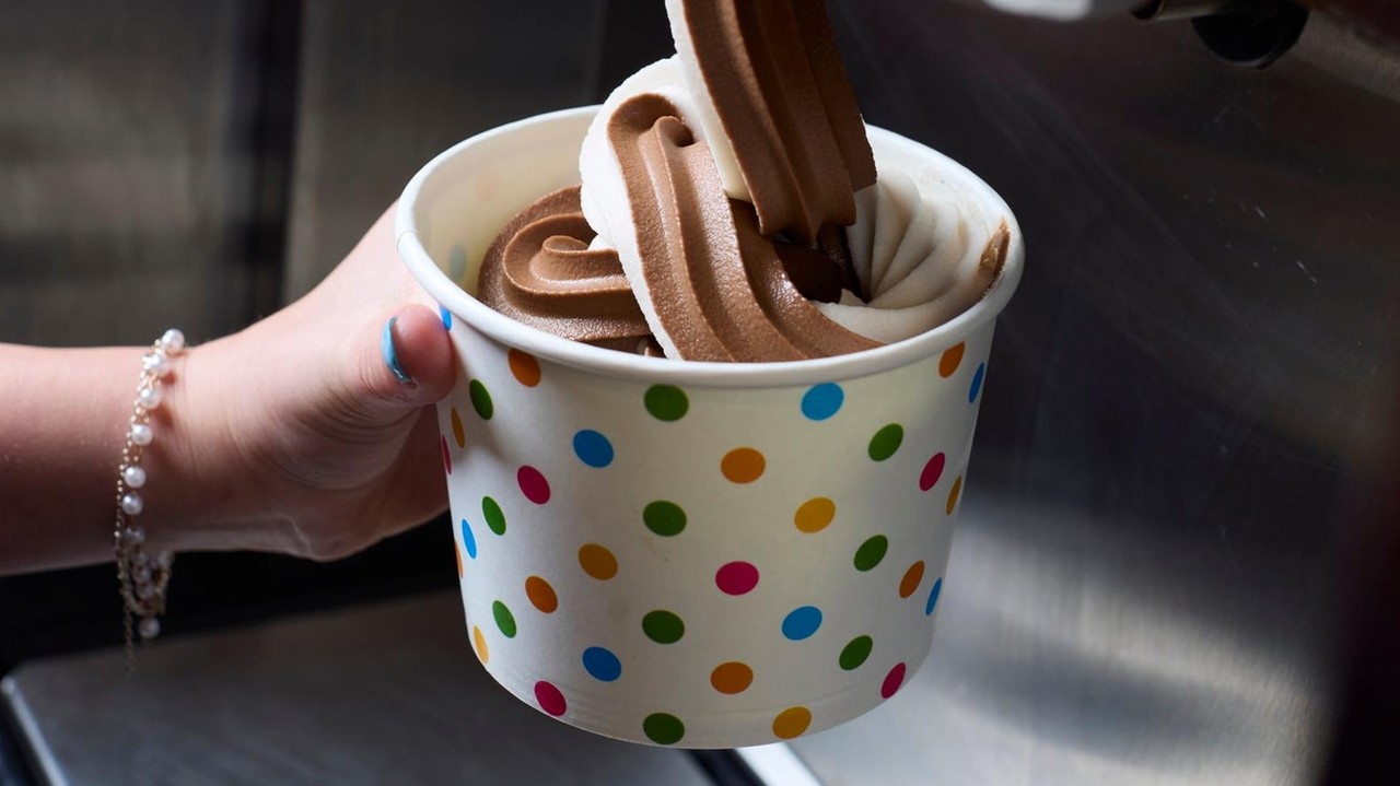 5 buzzy Long Island spots for frozen yogurt