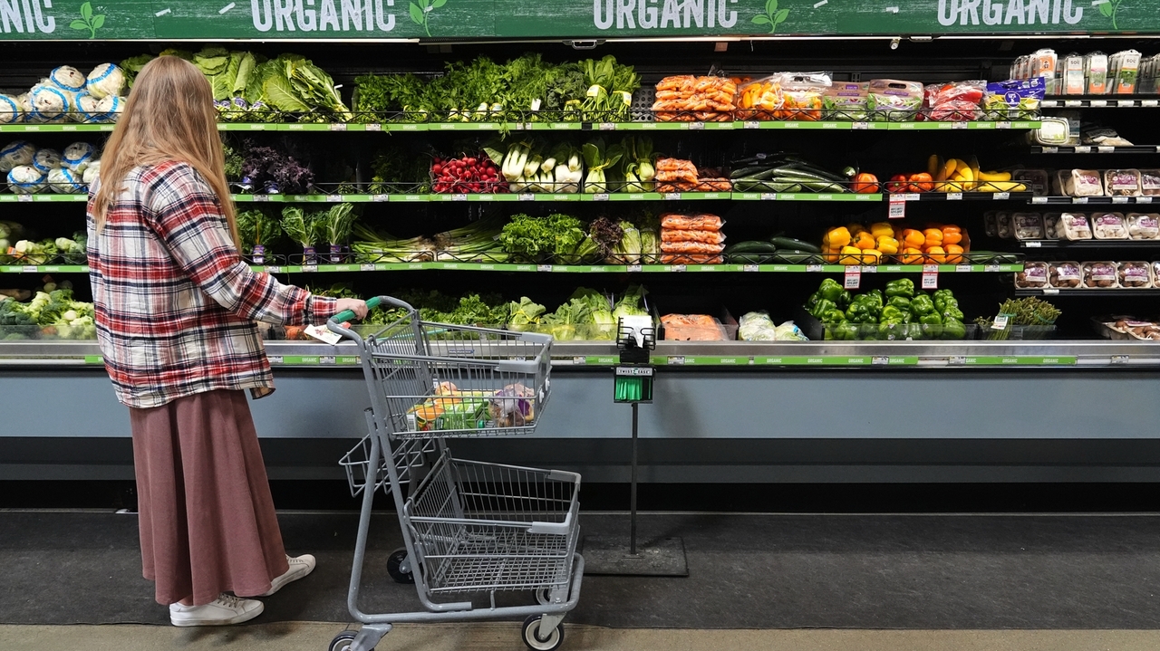 What to know about the status of SNAP food aid as a vote nears to end the shutdown