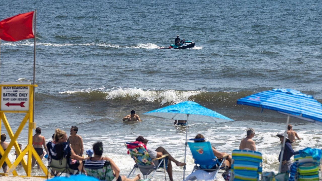 No summer holiday from sharks off Long Island beaches - Newsday