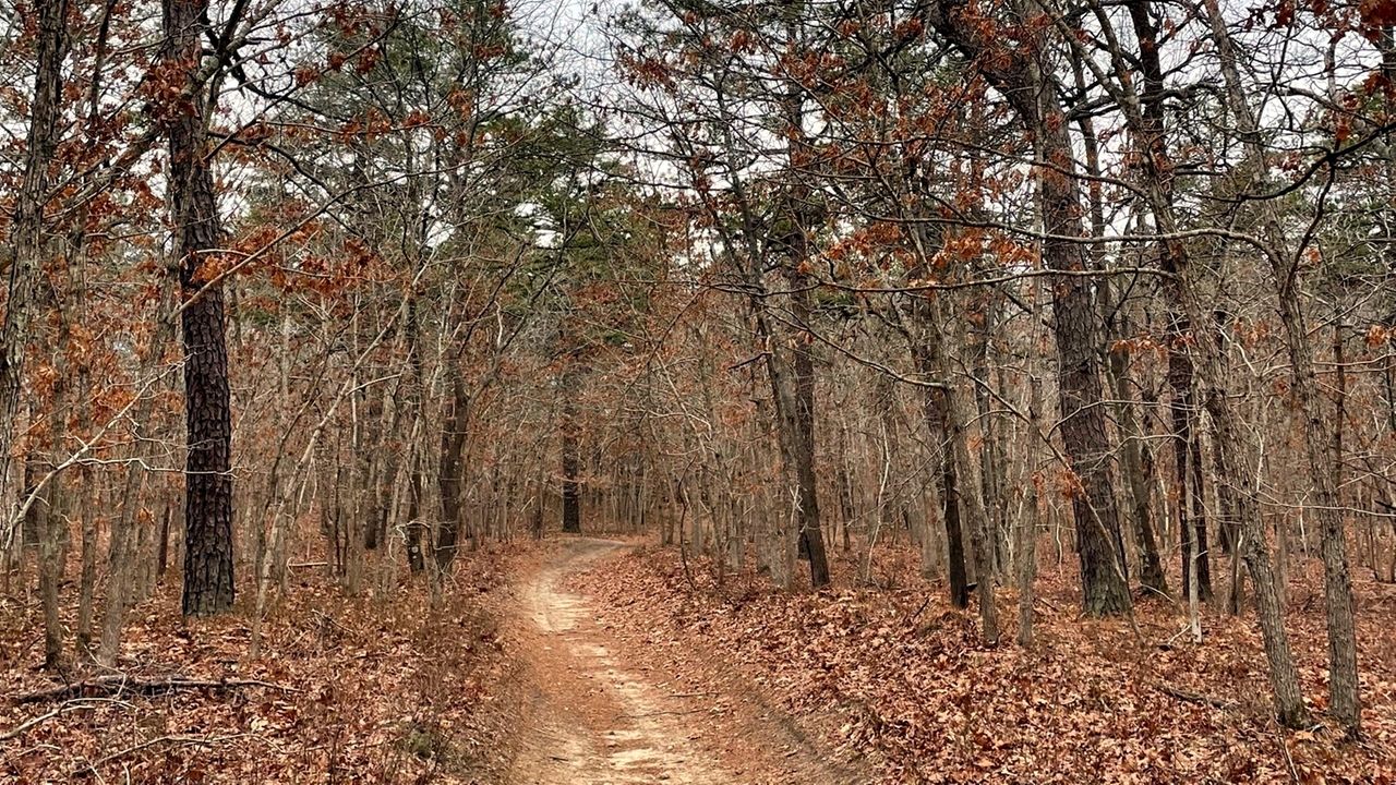 Nassau County taxes, LIPA rates, gun rights, Santos, Brookhaven