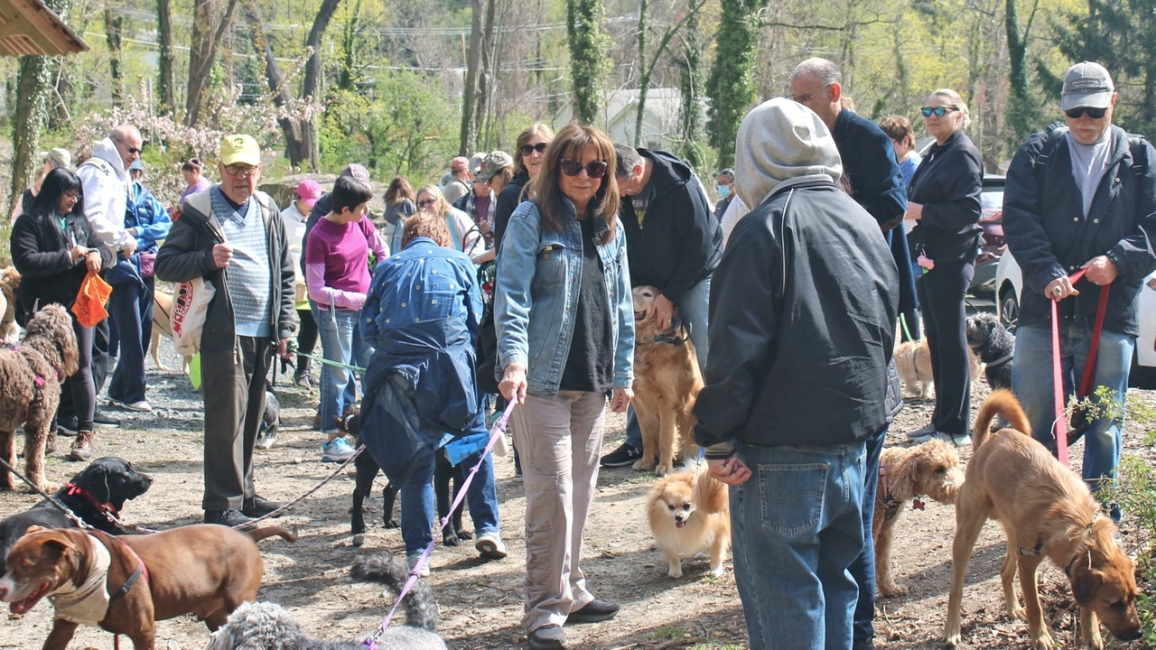 Dog-friendly events on Long Island this spring - Vimarsana News