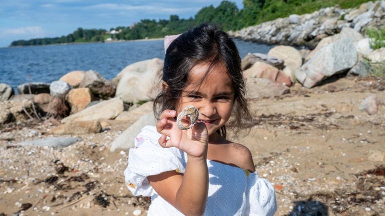 Leela, 5, hunts for shells on the beach during a...