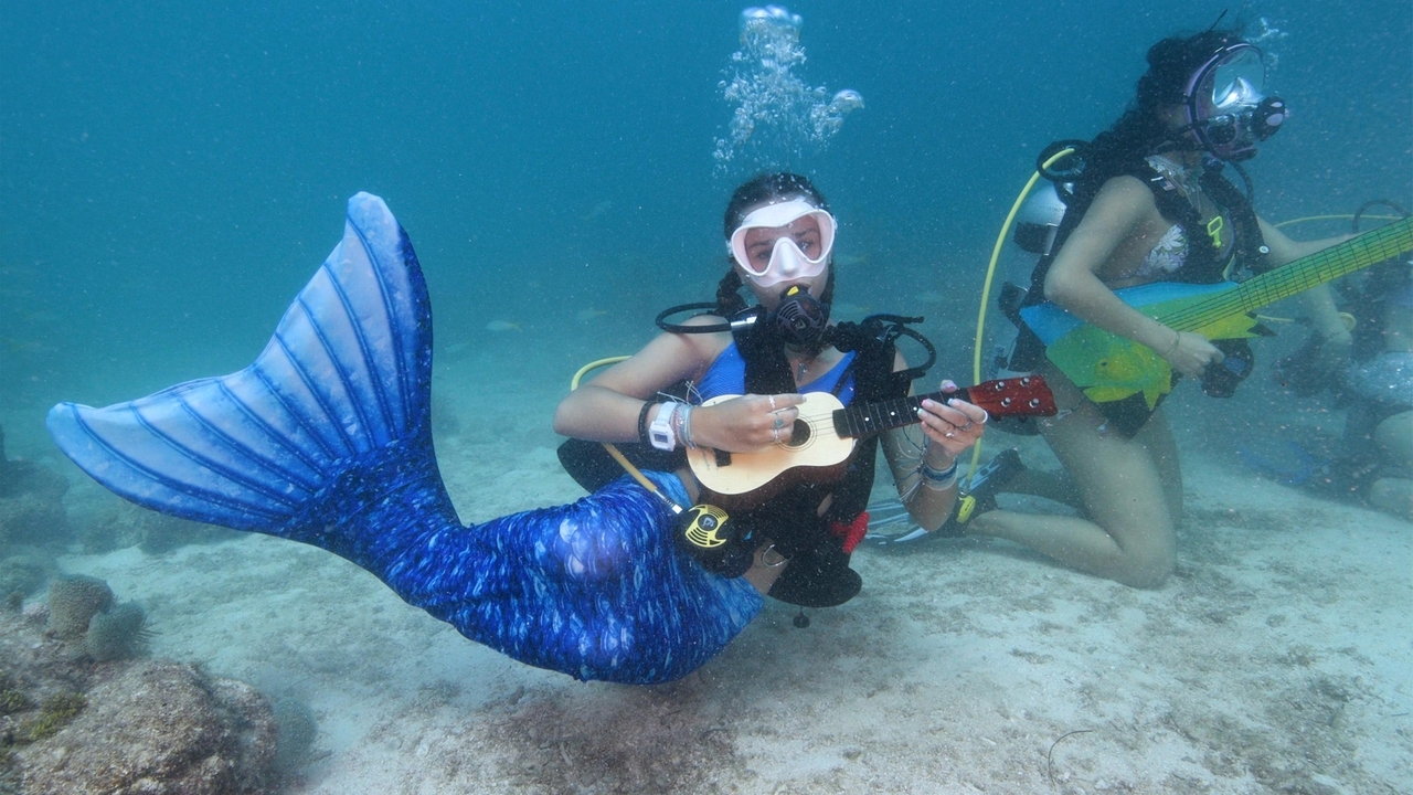 Underwater music show in the Florida Keys promotes awareness of coral reef protection - Vimarsana News