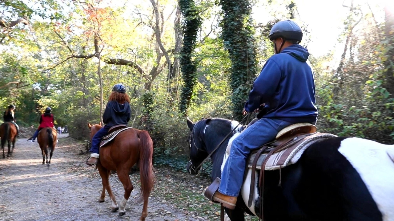 Take a horse ride at Babylon Riding Center - Newsday