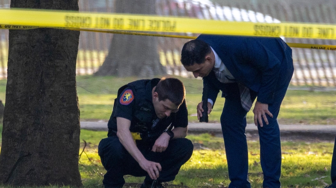 Social media meetups that turn violent represent a big challenge for police on LI and NYC, law enforcement experts say