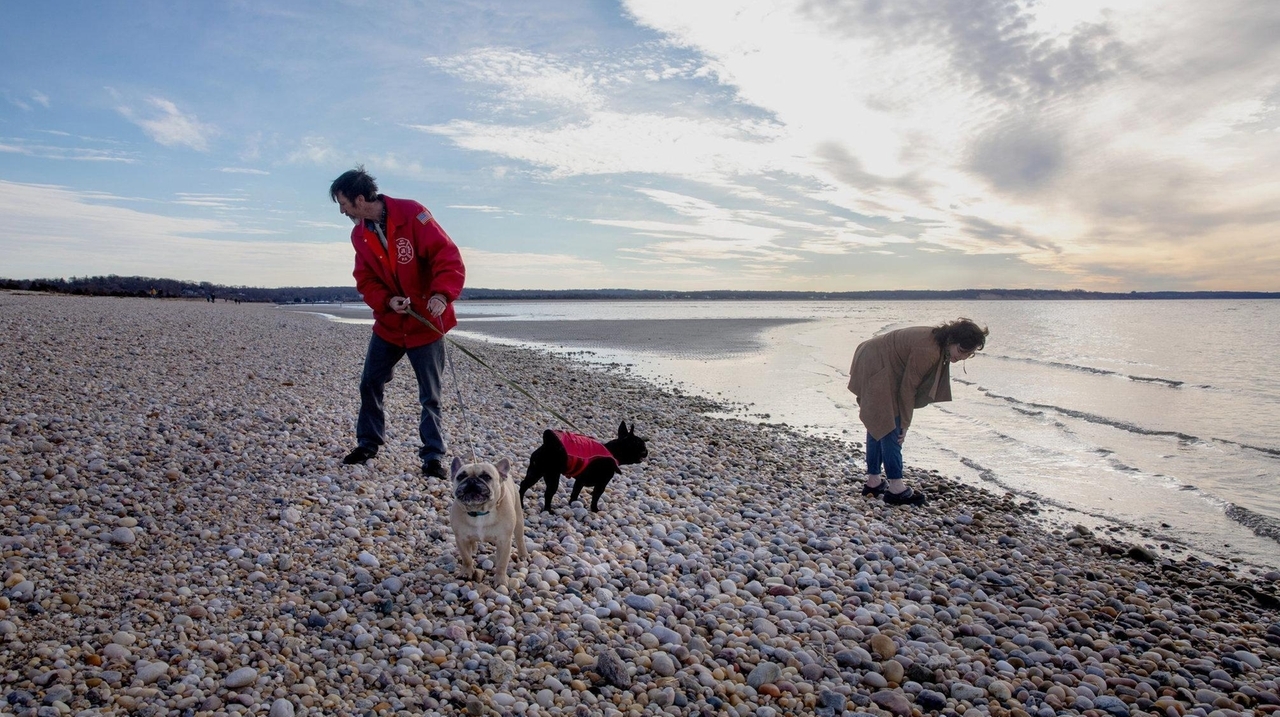 Long Island weather: After record-breaking warmth, cold and a little ...