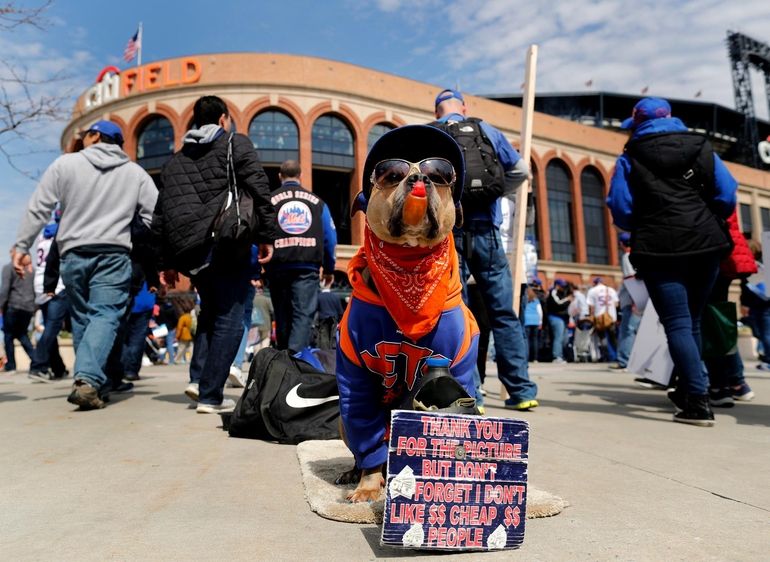 Mets Canine Mascot, 2015 New York Mets Opening Day, Citi F…