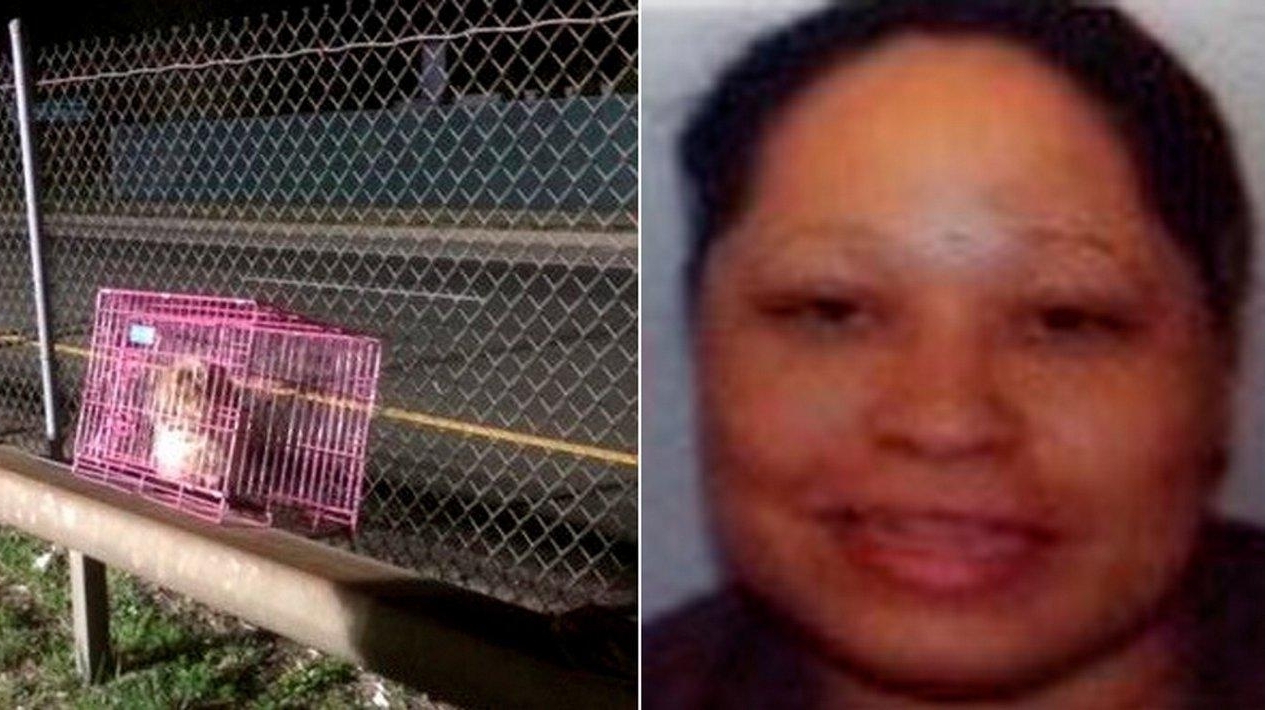 SPCA: Woman left dog on side of Sunrise Highway in Babylon - Newsday