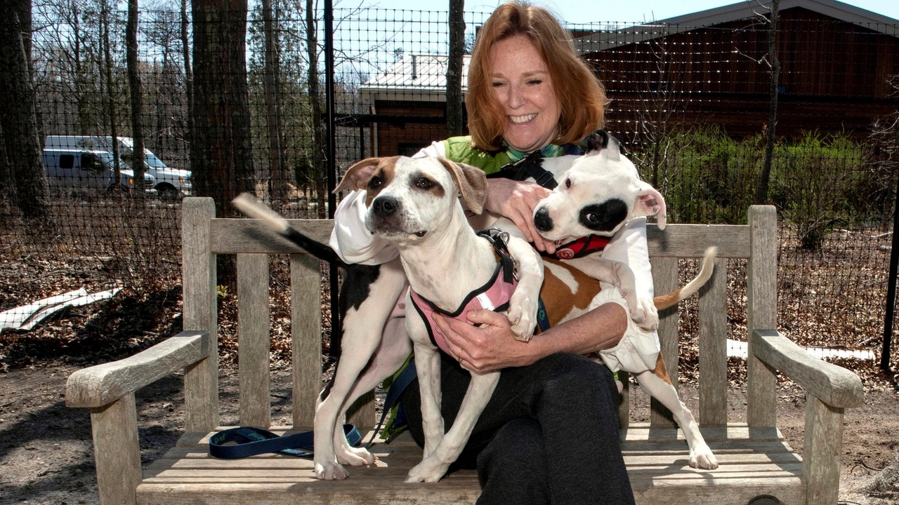 Starting a 'dream job' as Hamptons animal shelter preps for grand reopening - Vimarsana News