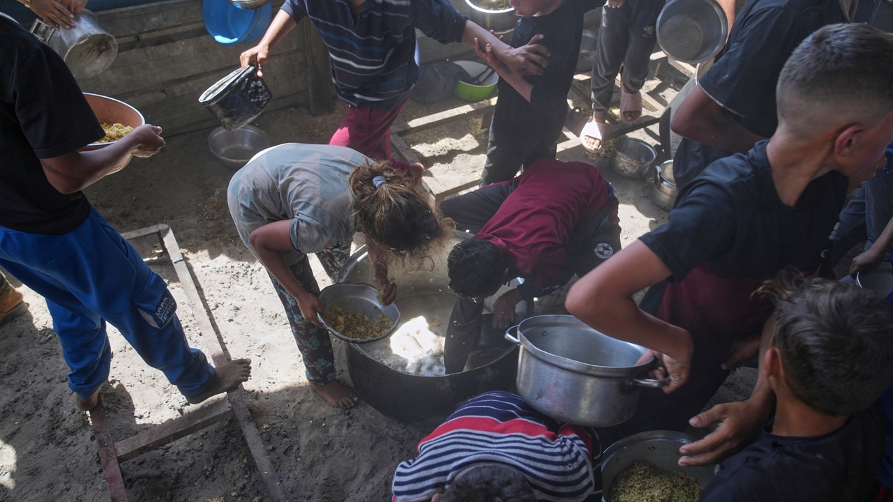 Food security experts warn Gaza is at critical risk of famine if Israel ...