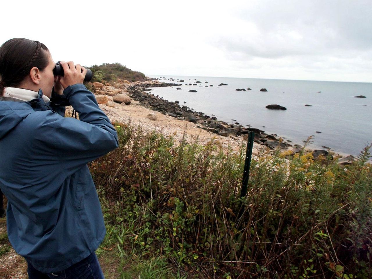 Zoning plan would keep much of Plum Island open space Newsday