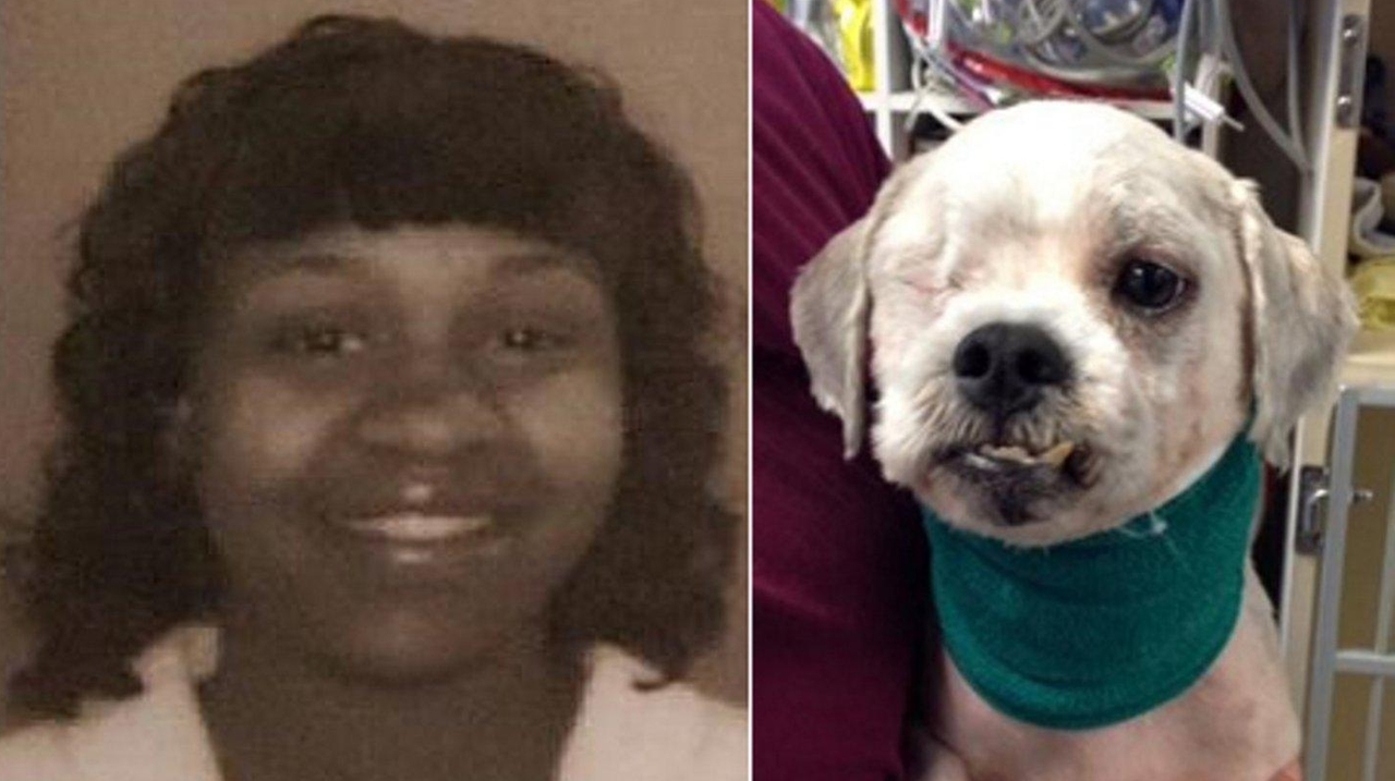 Coram woman charged with ‘severely’ neglecting dog, SPCA says - Newsday