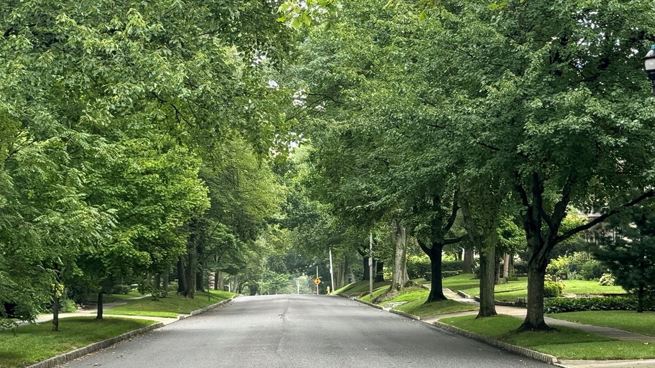 Reflections: Nassau County revives its war on trees