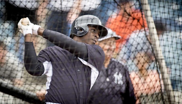 Yankees shortstop Didi Gregorius talks to LI kids - Newsday