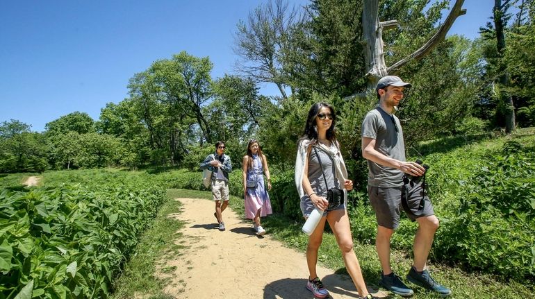 Hikers walk along a trail through one of the meadows...