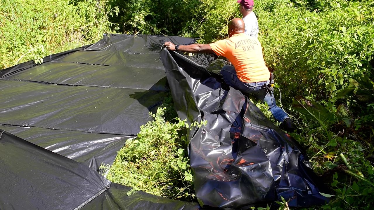 Amityville taking a blanket approach to rooting out invasive parrot feather Newsday
