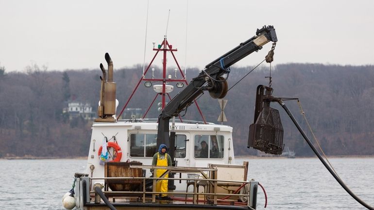 A Frank M. Flower & Sons shellfishing vessel works in...