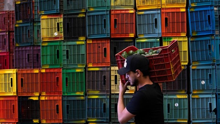 A worker carries a crate of avocados at a plant...