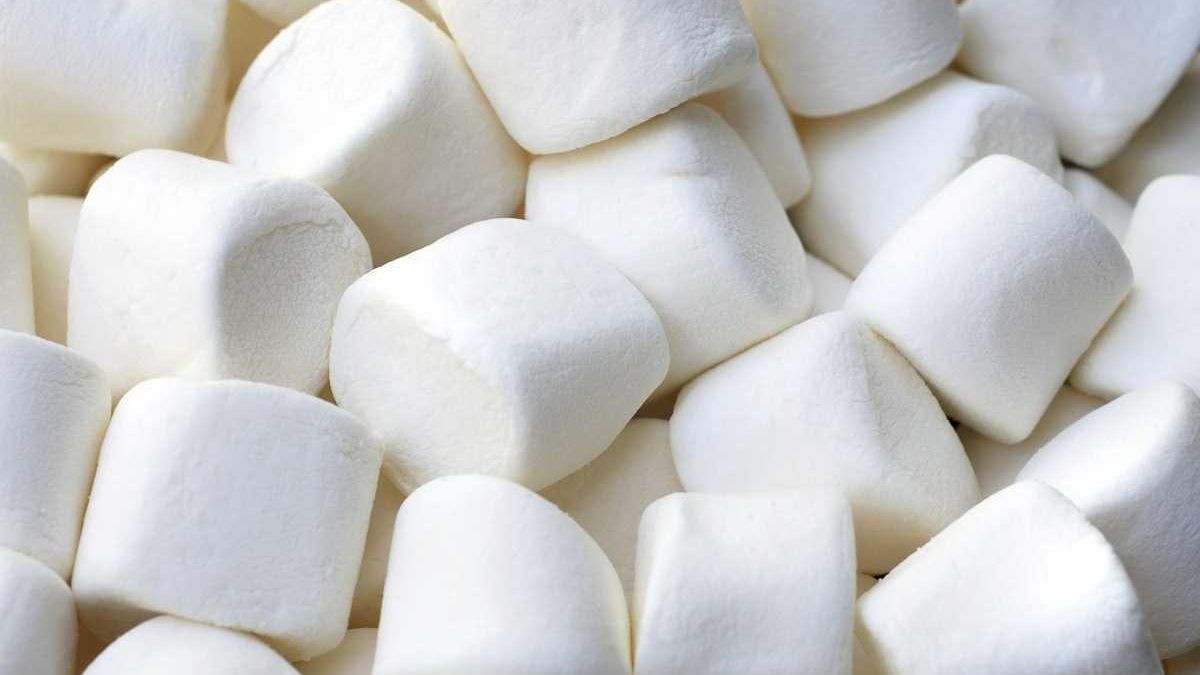 Marshmallows Good for More Than Toasting Newsday