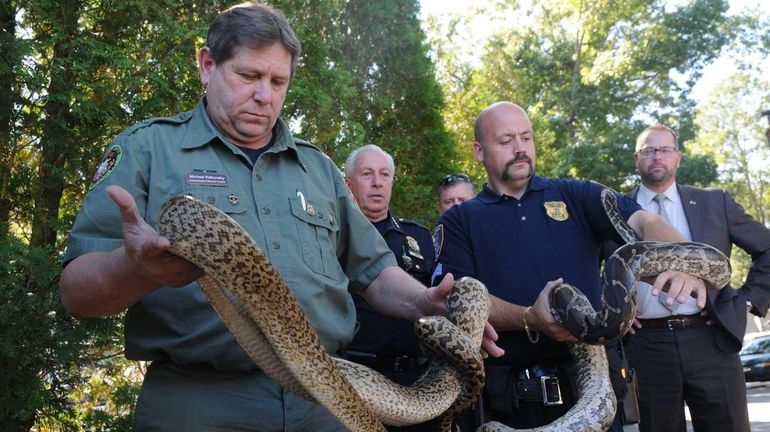 Michael Ralbovsky, left, a herpetologist curator, and SPCA sergeant John...