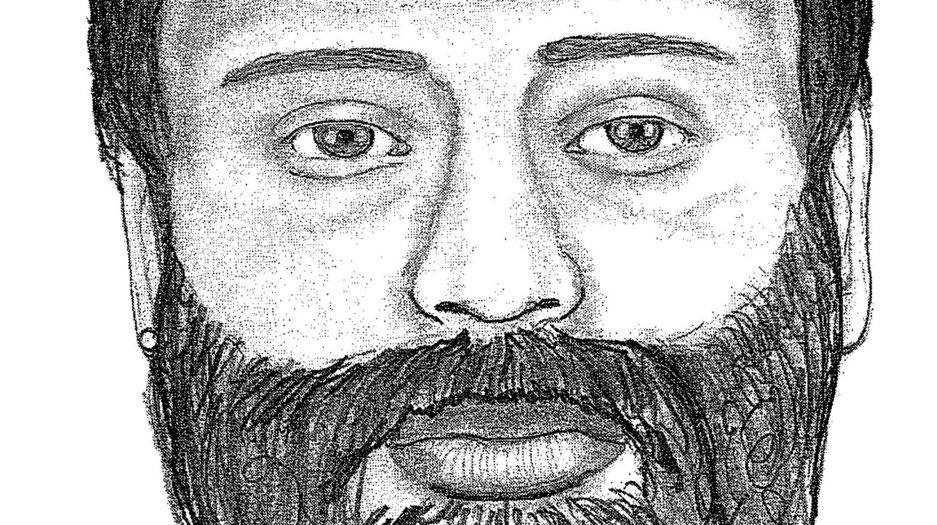 Police release sketch of attempted Mineola abduction suspect - Newsday