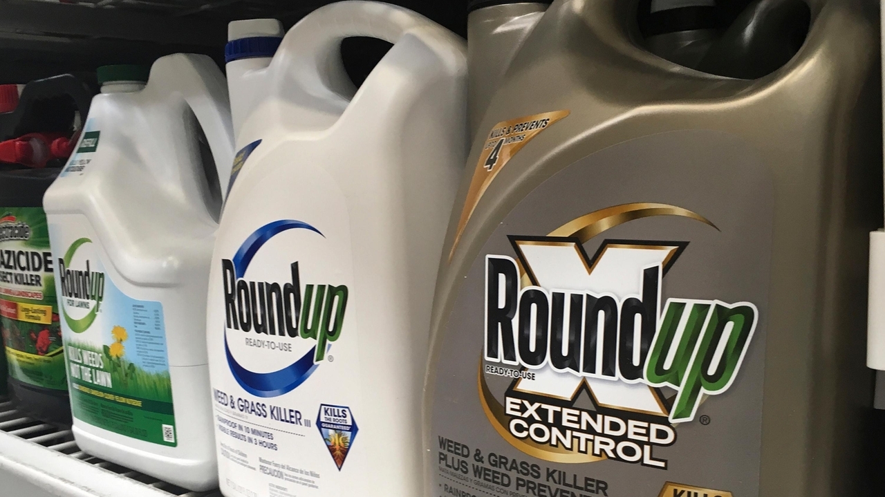 Bayer reaches $6.9 million settlement with New York over weedkiller Roundup safety concerns - Vimarsana News