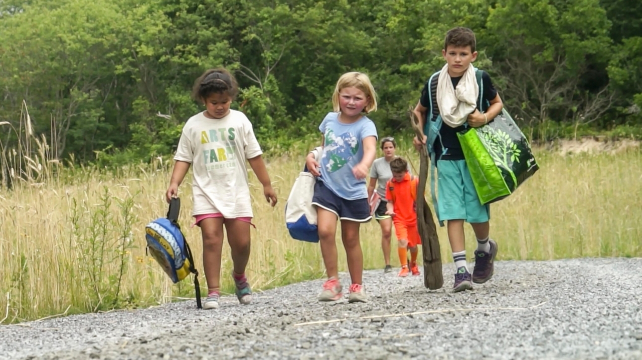 State parks on Long Island: Discover the beauty - Vimarsana News
