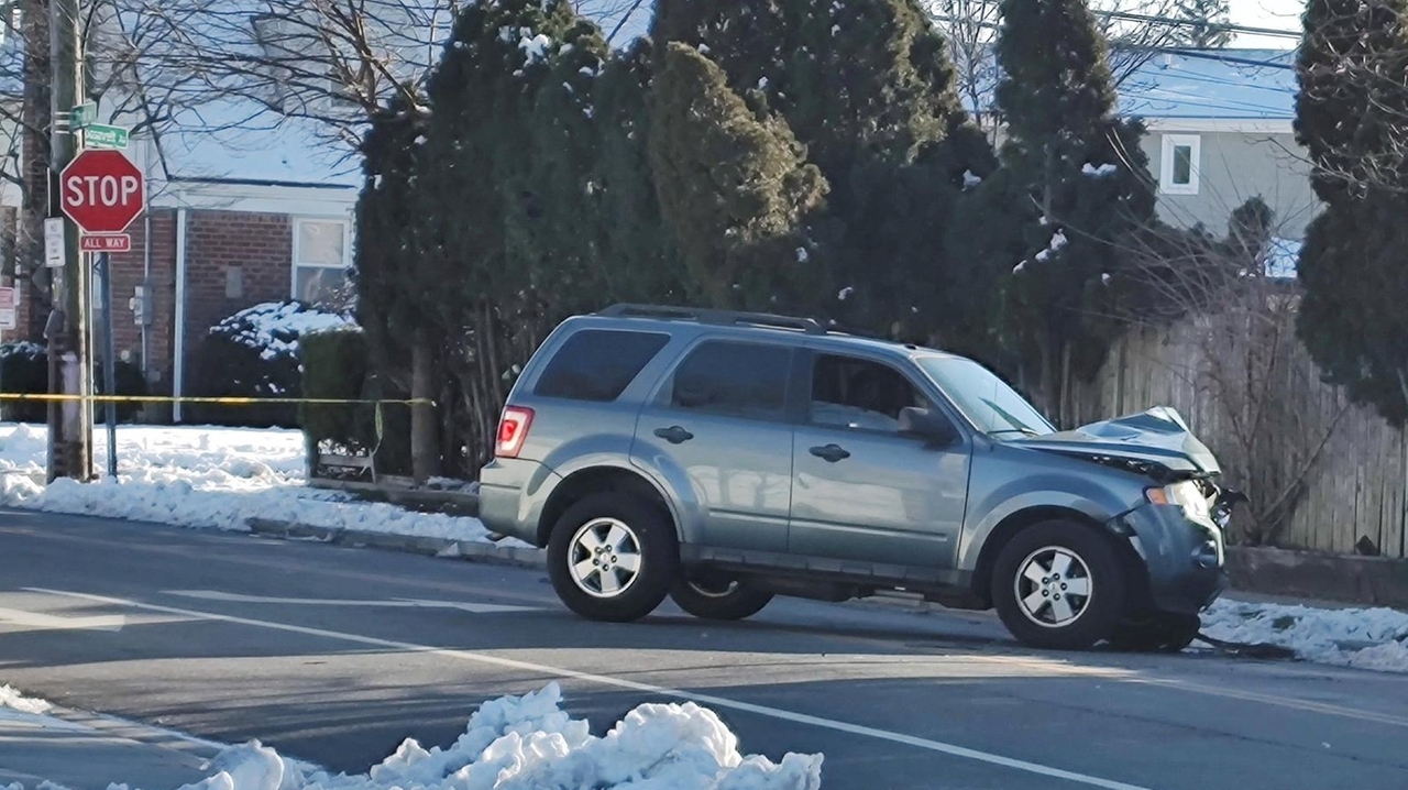 78-year-old woman dies after SUV hits tree in East Meadow - Newsday