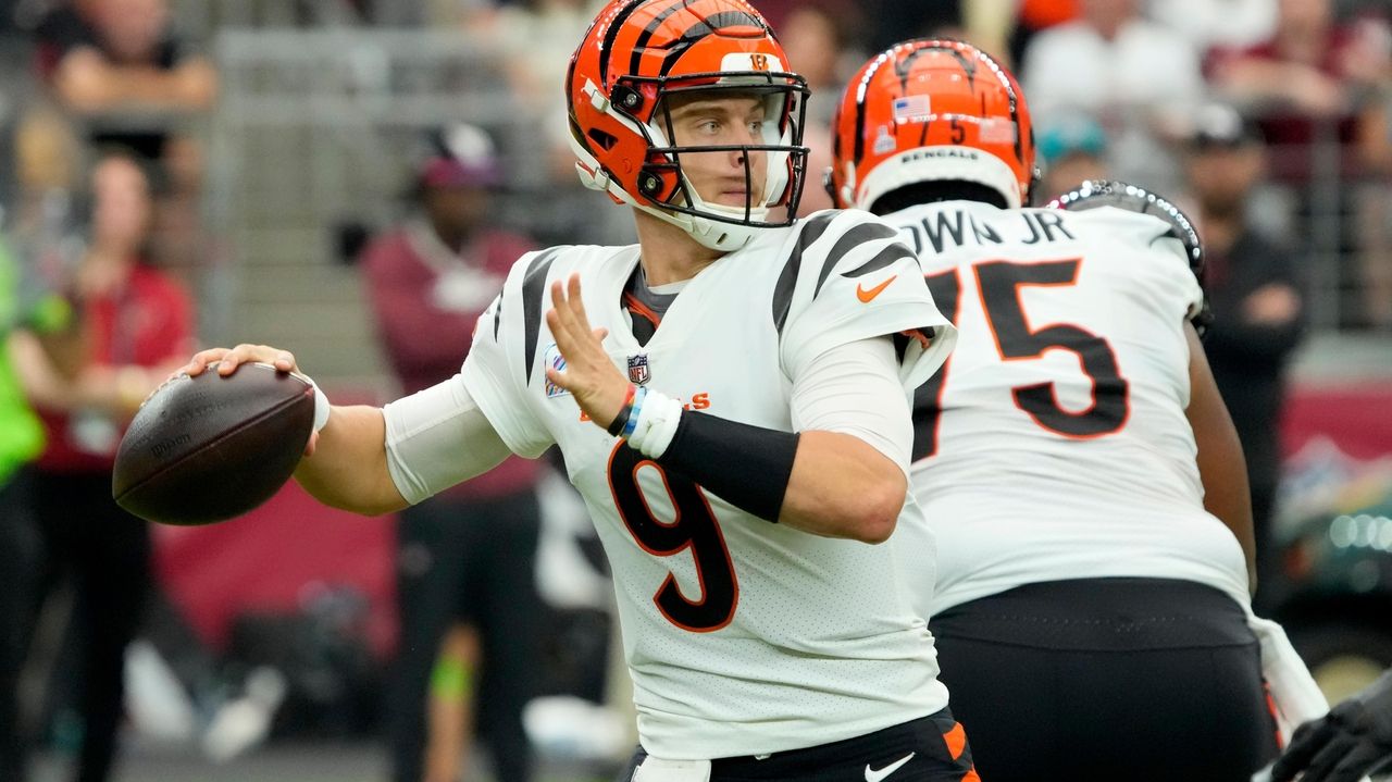 3 Winning Lessons Businesses Can Learn From the Cincinnati Bengals' Social  Media Pages