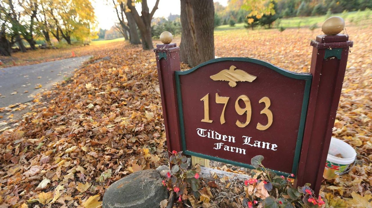 Suffolk takes step toward preserving Greenlawn tree farm Newsday