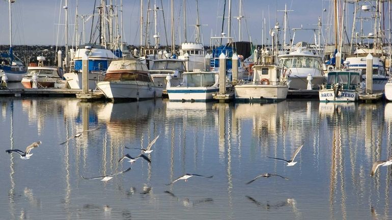 Pillar Point Harbor at Half Moon Bay, the Northern California...