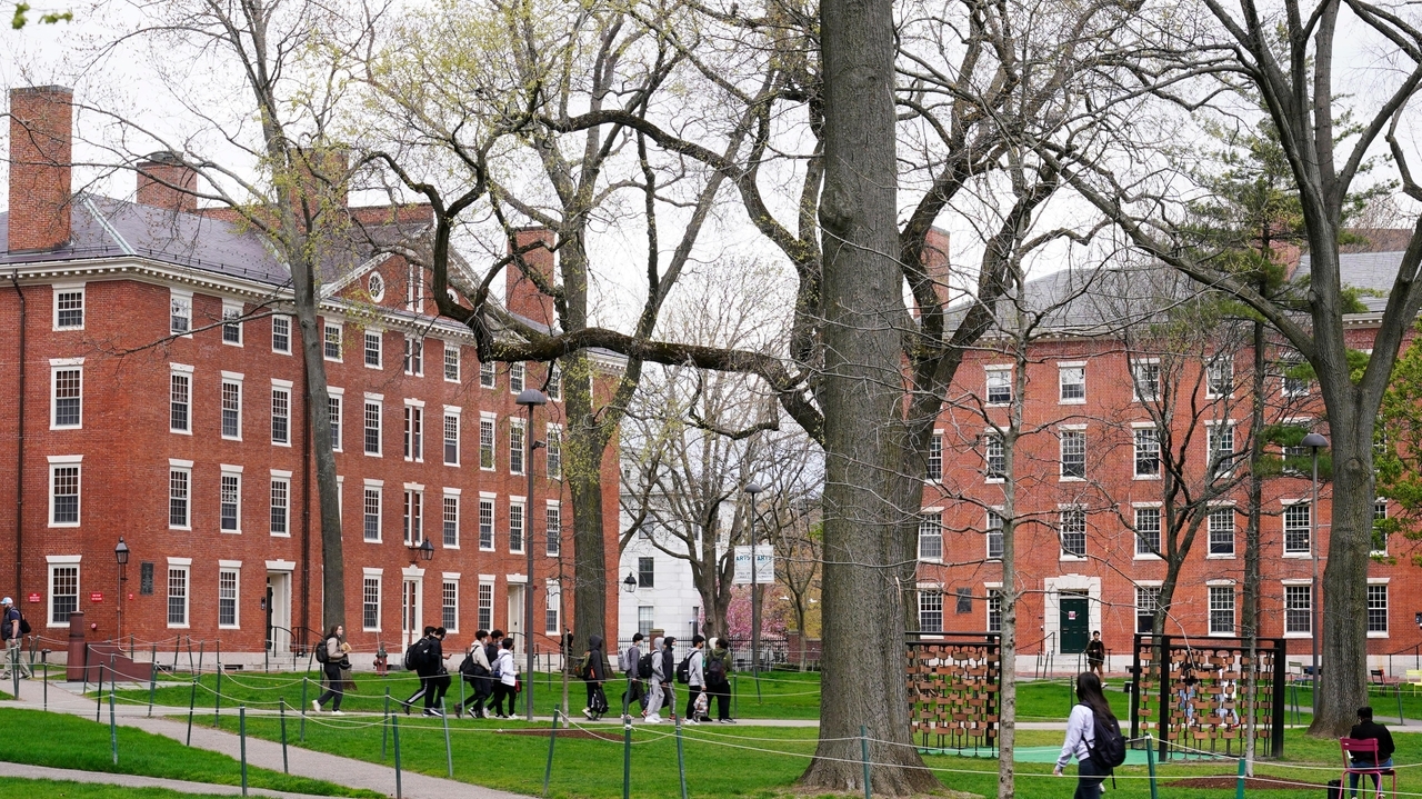 Mixed reactions on Long Island to affirmative action ruling - Vimarsana News